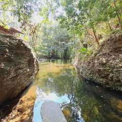 Farm Estate for Rent in La Laguna - 10 bedrooms