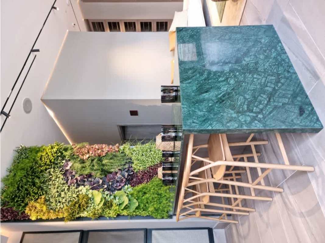 Contemporary kitchen bar with green marble and vertical plant wall PH Ocean House Santa María Panama