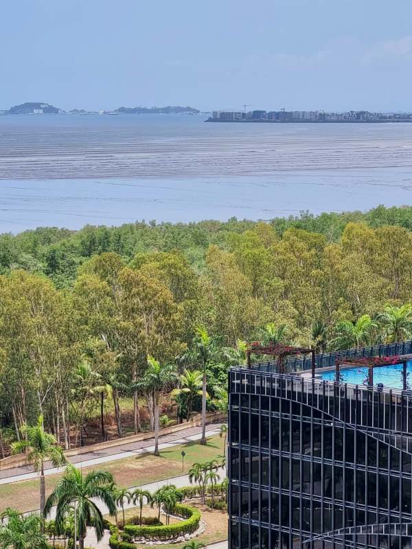 Drone view rooftop pool glass facade lush greenery ocean skyline PH Castellamare Panama