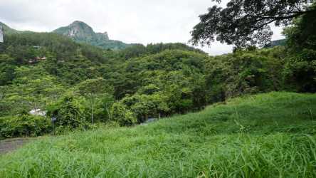 Grassy lot dense forest mountain vista Altos del María Panama land