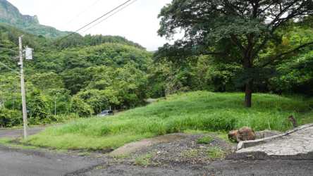 Paved road mature trees mountain background vacant lot Altos del María Panama