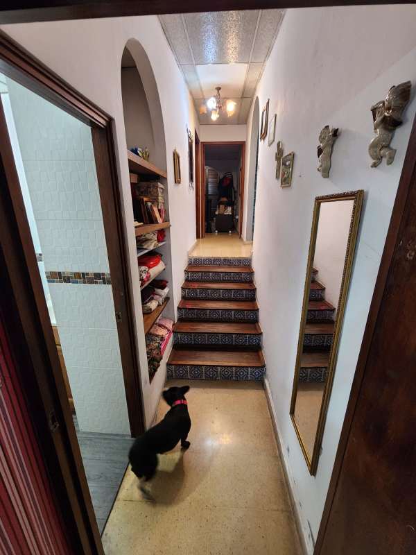 Kitchen with wood cabinets, green walls, refrigerator and stove in house at Brisas de Santa María Condado del Rey Panama