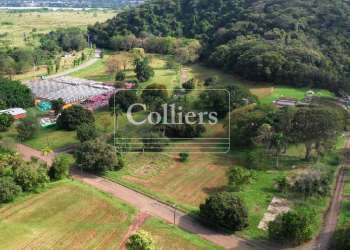 Large green investment property with access roads near metro Panama Pacifico area