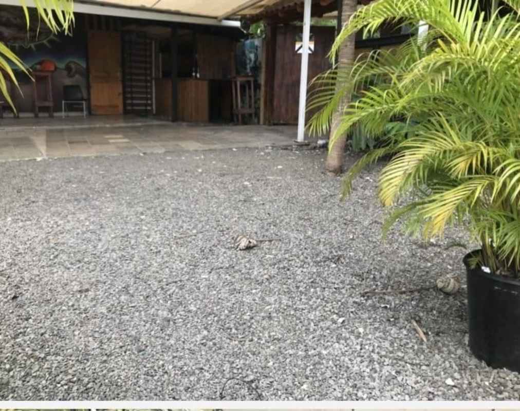 Outdoor gravel patio potted palms mural wooden bar covered canopy Albrook commercial Panama