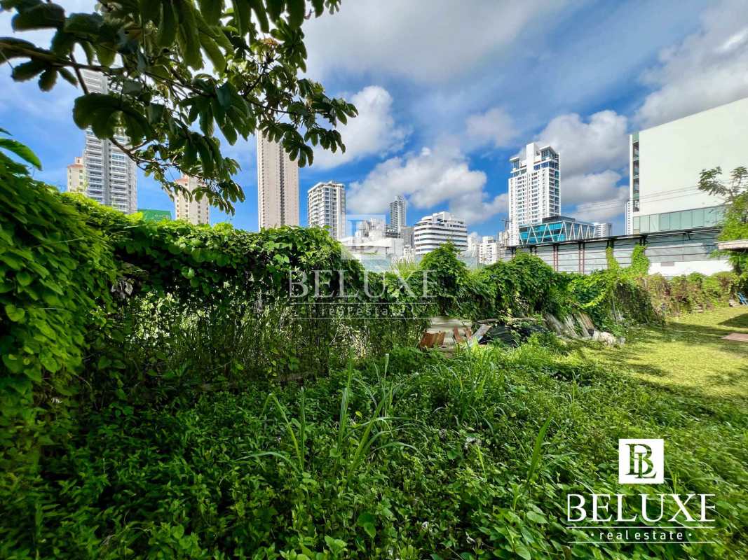 View showing warehouse and house on development land Via Porras San Francisco Panama