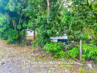 Land / Lot for Sale in Jaramillo - 0 bedrooms