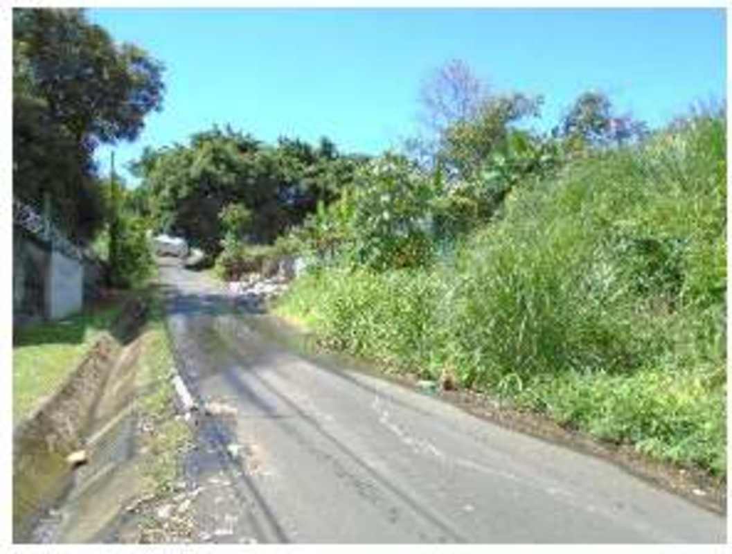 Suburban pavement with prospective land plot in Panama City neighborhood