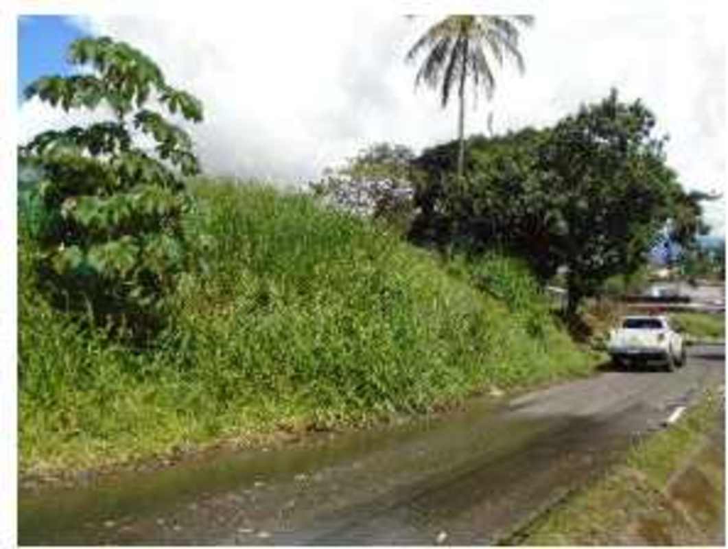 Aerial satellite view with highlighted coordinates showing 800m2 property in Pueblo Nuevo Panama