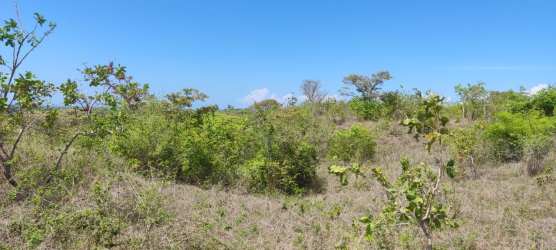 33 Hectares Ocean View Beach Land Piedras Gordas San Carlos