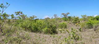 Land for Sale in Piedras Gordas - 0 bedrooms