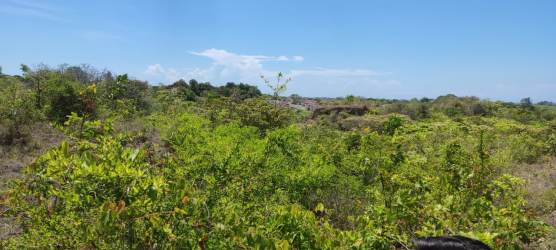 Unspoiled countryside with bushes wild terrain sky Piedras Gordas Panama land for sale