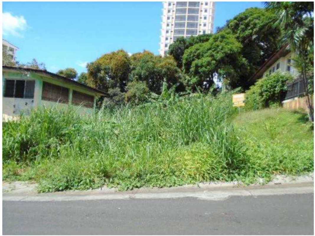 Overgrown vegetation vacant residential plot near road Betania Panama