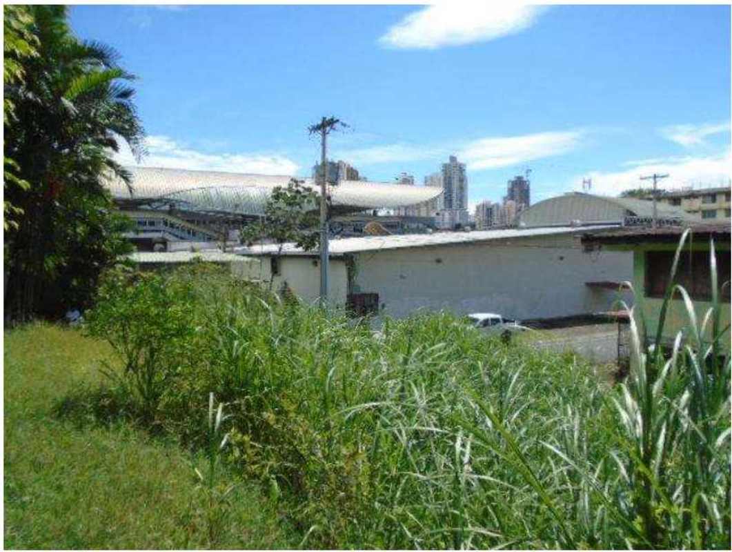 Vacant urban lot with overgrown grass and city skyscrapers in distance Betania Panama