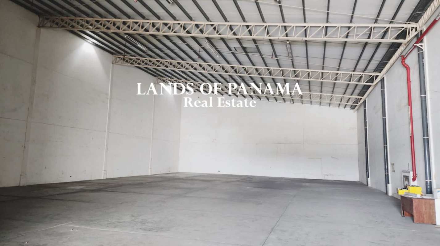 Spacious empty industrial warehouse with loading access in Panama City Costa del Este