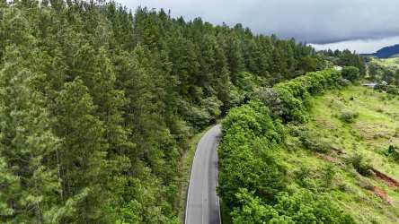 Dirt and paved access roads crossing dense greenery and sloped terrain Los Llanitos farm Panama