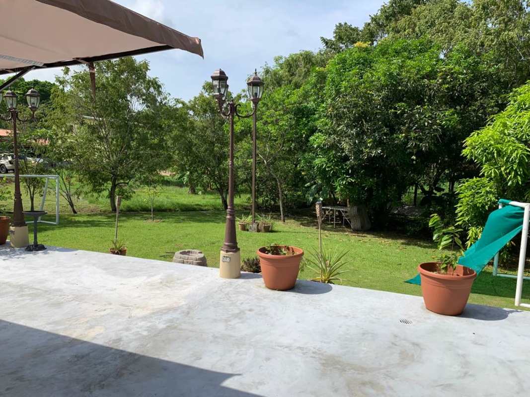 Garden view with patio, canopy, children's slide and swing amid lush green yard Clayton home