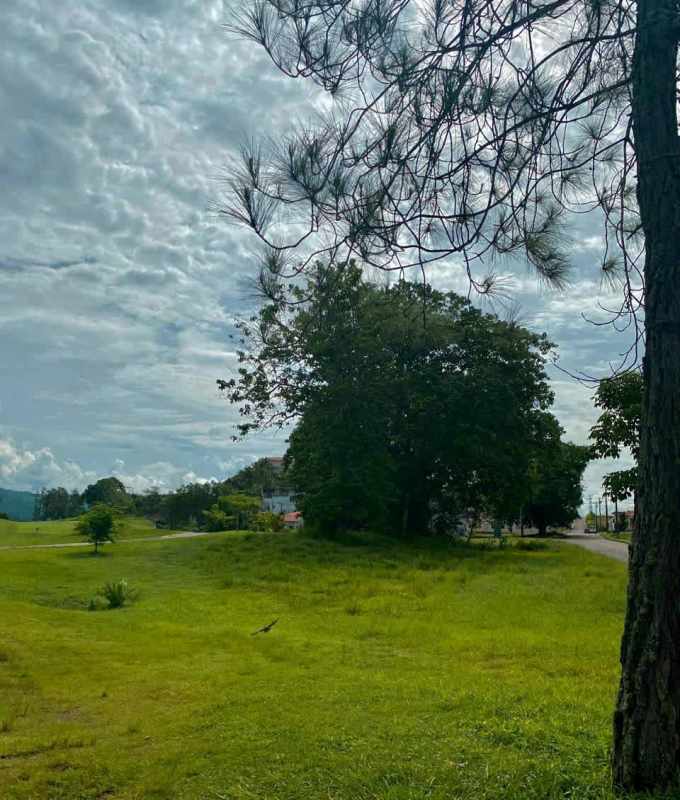 Open landscape with trees, road, and distant mountain views in Club de Golf Panama