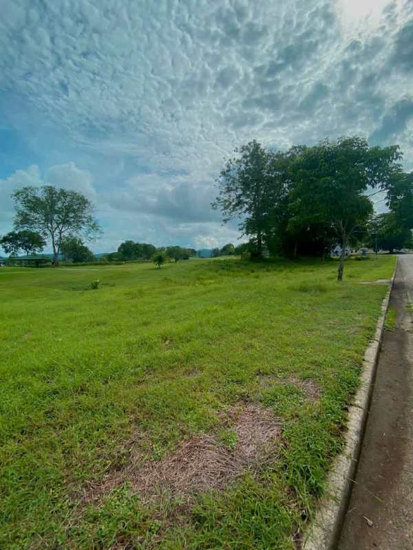 Open grassy land with shade trees and hills beyond in Club de Golf Panama