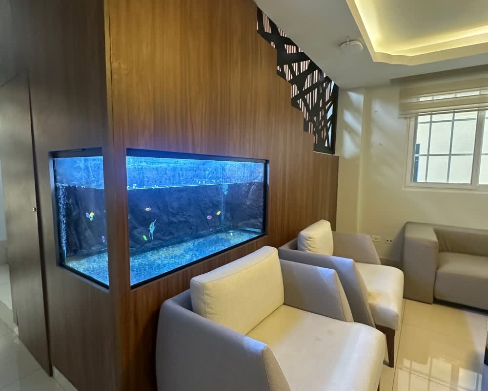 Outdoor swimming pool with covered barbecue lounge and terrace in private backyard