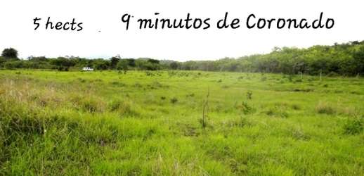 Flat open pasture with some trees perfect for subdivision or agriculture in Panama Oeste
