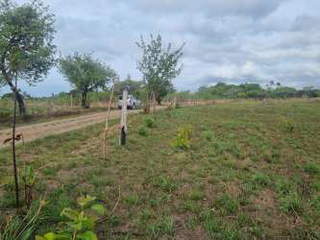 Land / Farm Lot for Sale in Las Uvas - 0 bedrooms