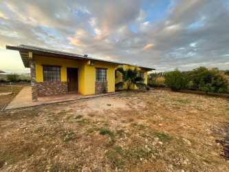 Mature fruit trees and lush plants surround garden area Panama countryside house in Santa María Divisa