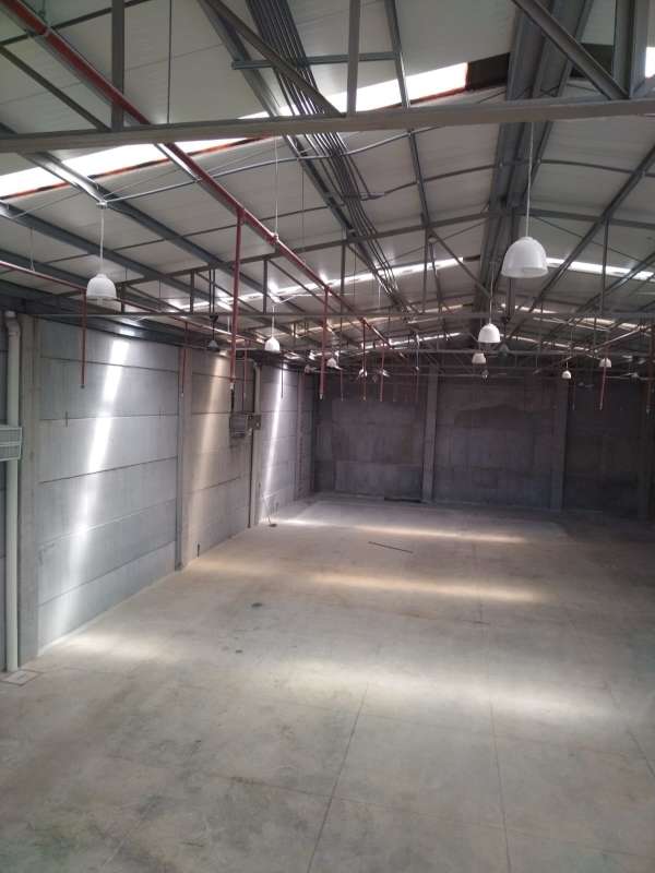 Empty industrial warehouse with high ceilings, exposed beams, pendant lights, concrete floor, Panama Viejo area