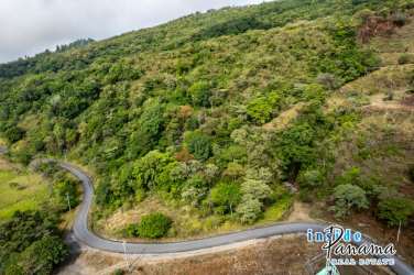 Forested hillside with mixed terrain in rural Boquete, Panama