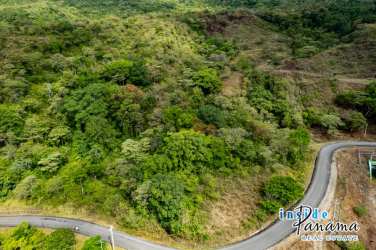 Top view of lush green mountain land with forest in Boquete Panama
