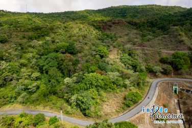 Dense trees and winding road through mountain landscape in Boquete Panama