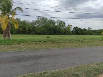 Rectangular flat lot surrounded by palm trees paved road in Quintas Sol y Mar beachfront community next to Buenaventura