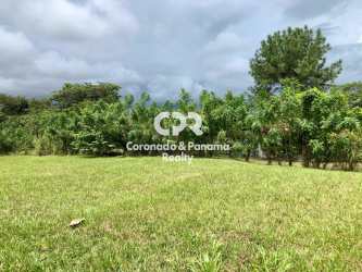 Flat build-ready grassy land parcel on corner lot in Coronado Panama