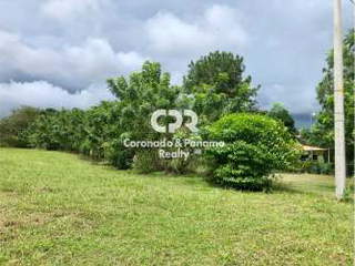 Land for Sale in Chame - 0 bedrooms