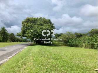 Vacant lot with open grass and surrounding greenery at Coronado Panama corner location