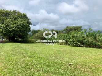 Buildable grassy vacant lot with mature trees at Coronado Panama