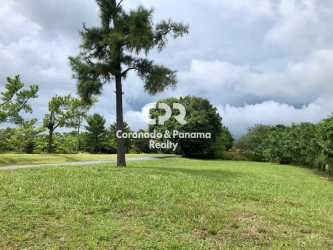 Spacious open lot with greenery on two paved streets in Coronado Panama