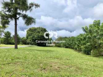 800sqm open grassy lot with mature tropical trees near Coronado beach Panama