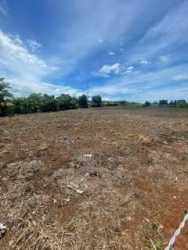 Plot of rural land with sparse trees, dirt path, and a clear blue sky in Playa Leona Capira