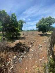 Open natural plot with trees, rocky soil and blue sky in rural Capira Panama Oeste
