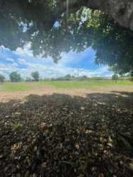 Open lot with trees, rocky soil, and clear sky in rural Playa Leona Panama Oeste