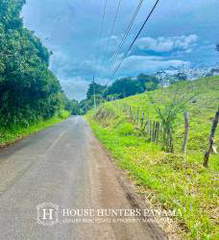 Land for Sale in Alto Boquete - 0 bedrooms