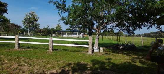 Rural pasture lot with small barn style shed and ranch fencing near Rio Hato