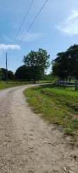 Curved gravel driveway through green pasture and trees in rural Panama