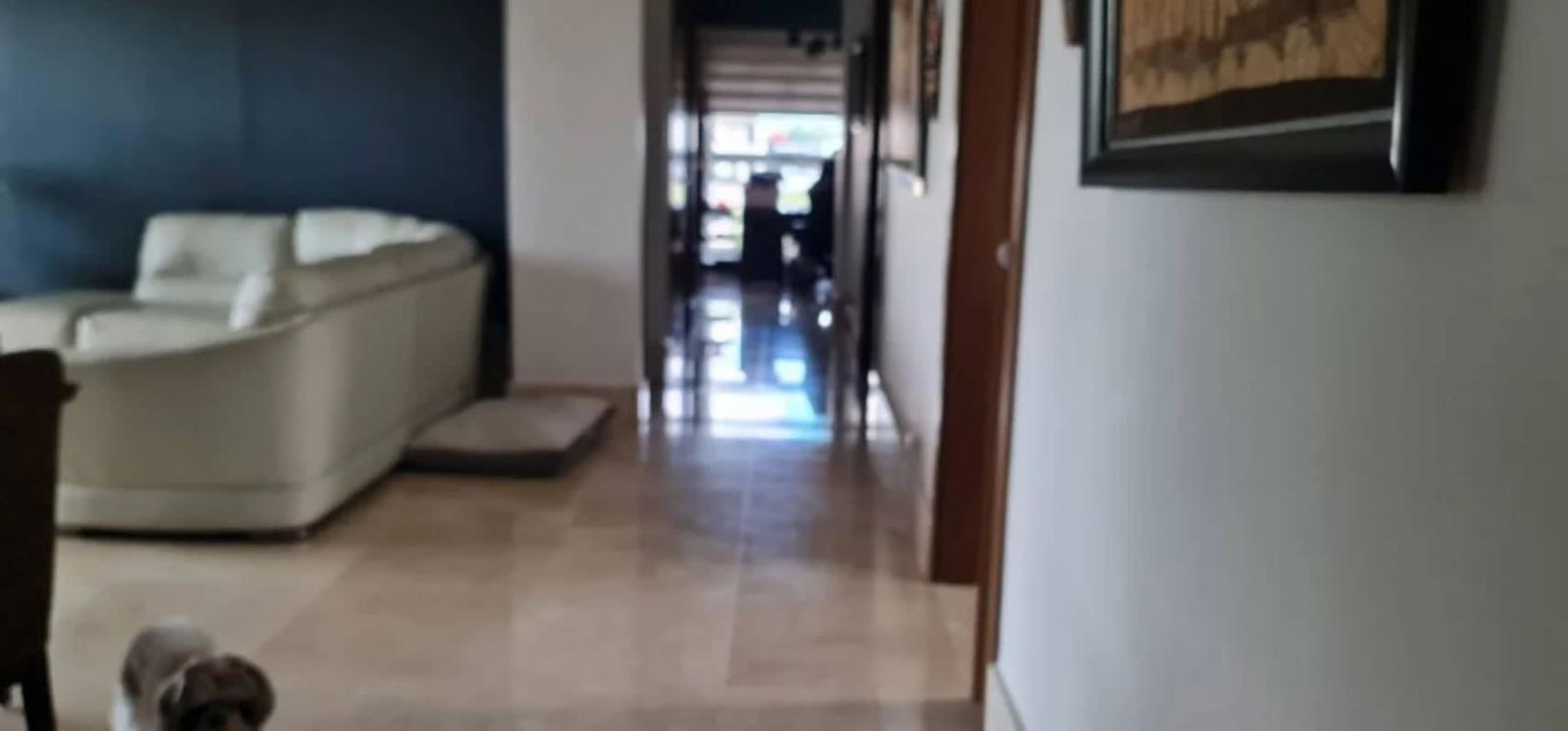 Contemporary kitchen with appliances quartz countertops PH Ocean House Santa Maria Panama