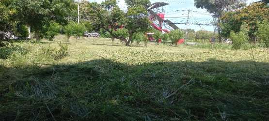 Vacant grassy lot with nearby playground and trees in Penonomé, Coclé Panama
