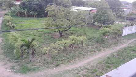 Vacant land with grass, mature trees, dirt road, wiring, partial fencing Penonomé Panama