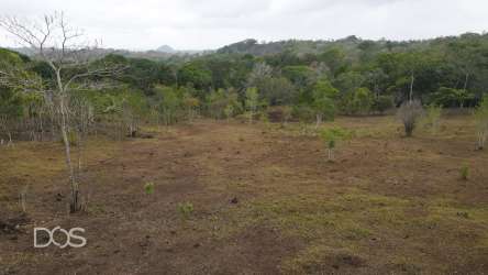 Open countryside vacant investment lot La Chorrera Panama