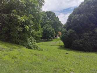 Green lot with trees and open lawn at residential property near El Valle Panama