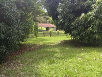 Green lawn with red-roofed gazebo and fence in residential lot near El Valle Panama