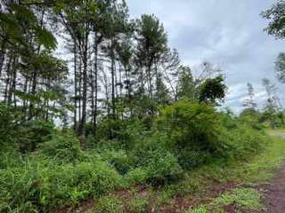 Land for Sale in Santa Rita - 0 bedrooms